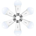 Smart LED bulb 3000K to 6000K